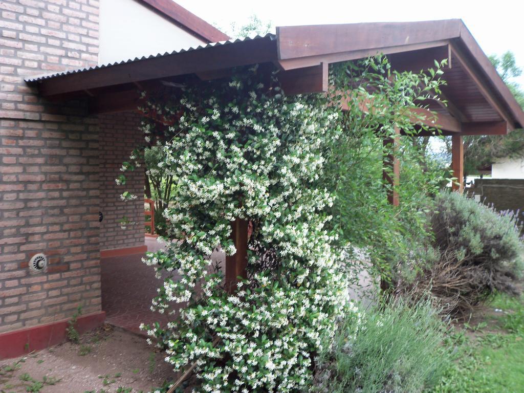 Cabanas El Dominador La Falda Exterior foto